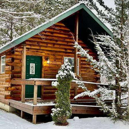 Willow Cabin Thompsonville Exteriör bild